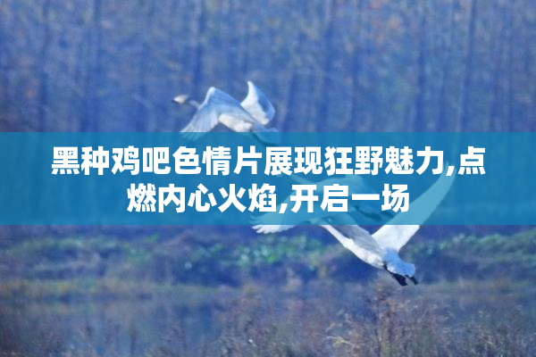 黑种鸡吧色情片展现狂野魅力,点燃内心火焰,开启一场