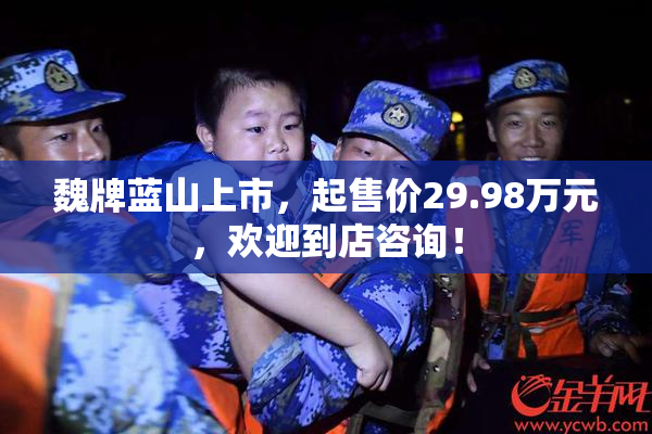 魏牌蓝山上市，起售价29.98万元，欢迎到店咨询！