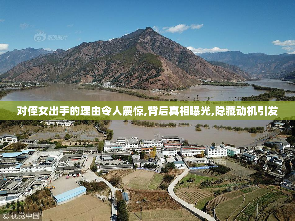 对侄女出手的理由令人震惊,背后真相曝光,隐藏动机引发