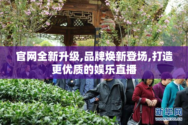 官网全新升级,品牌焕新登场,打造更优质的娱乐直播