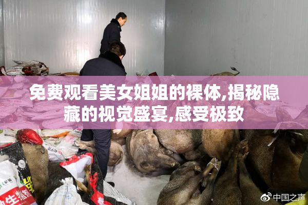 免费观看美女姐姐的裸体,揭秘隐藏的视觉盛宴,感受极致