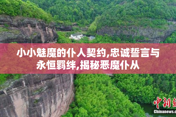 小小魅魔的仆人契约,忠诚誓言与永恒羁绊,揭秘恶魔仆从