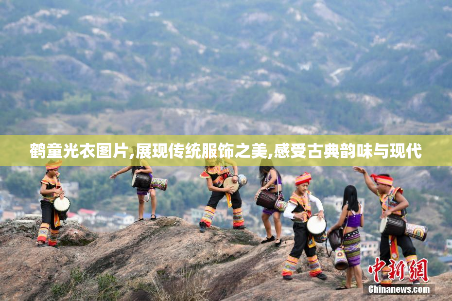 鹤童光衣图片,展现传统服饰之美,感受古典韵味与现代