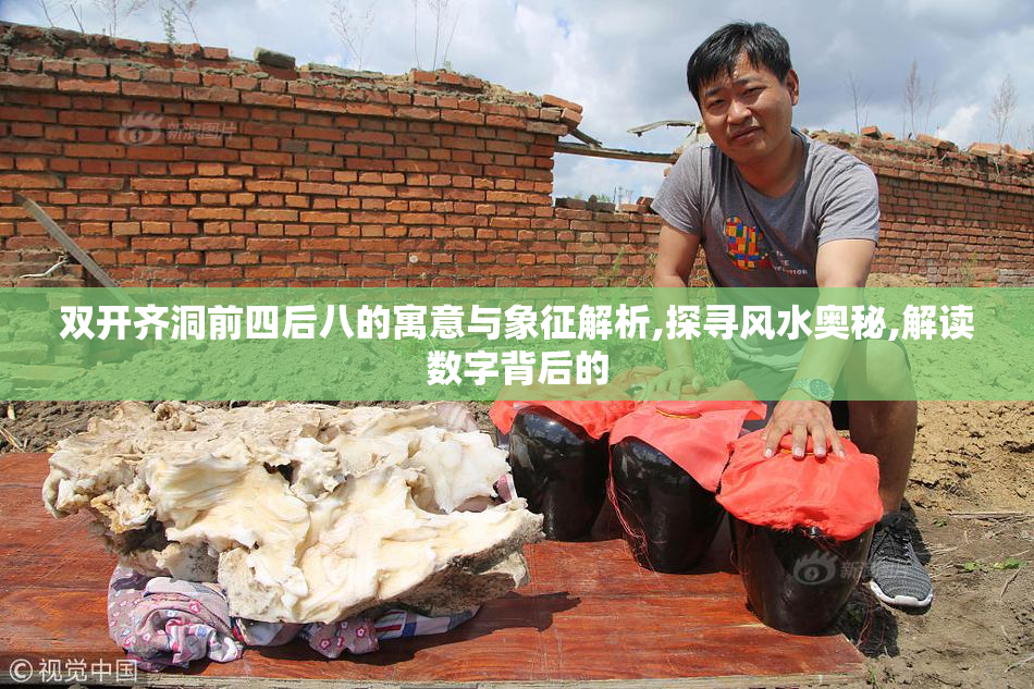 双开齐洞前四后八的寓意与象征解析,探寻风水奥秘,解读数字背后的