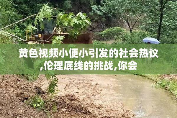 黄色视频小便小引发的社会热议,伦理底线的挑战,你会