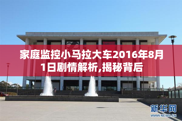 家庭监控小马拉大车2016年8月1日剧情解析,揭秘背后