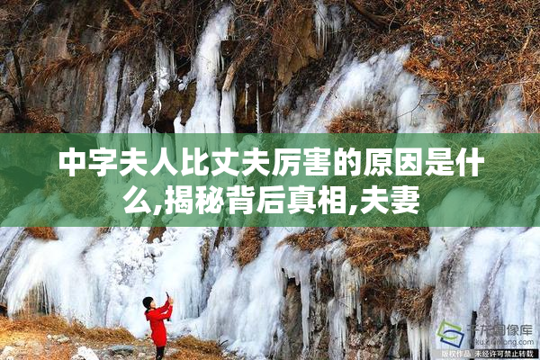 中字夫人比丈夫厉害的原因是什么,揭秘背后真相,夫妻