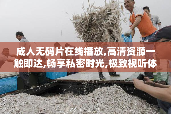 成人无码片在线播放,高清资源一触即达,畅享私密时光,极致视听体验