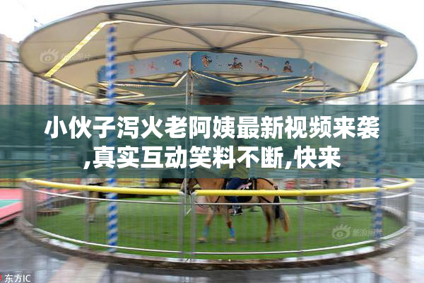 小伙子泻火老阿姨最新视频来袭,真实互动笑料不断,快来