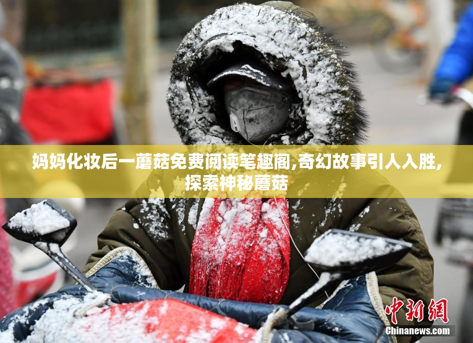 妈妈化妆后一蘑菇免费阅读笔趣阁,奇幻故事引人入胜,探索神秘蘑菇