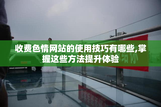 收费色情网站的使用技巧有哪些,掌握这些方法提升体验