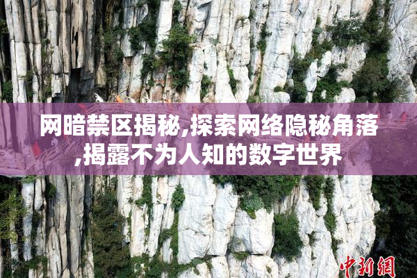 网暗禁区揭秘,探索网络隐秘角落,揭露不为人知的数字世界
