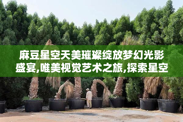 麻豆星空天美璀璨绽放梦幻光影盛宴,唯美视觉艺术之旅,探索星空与