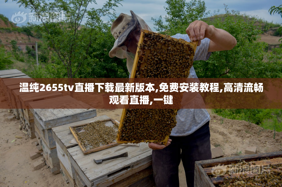 温纯2655tv直播下载最新版本,免费安装教程,高清流畅观看直播,一键