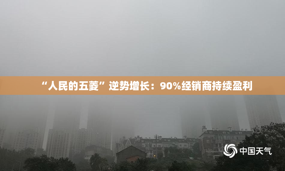 “人民的五菱”逆势增长：90%经销商持续盈利