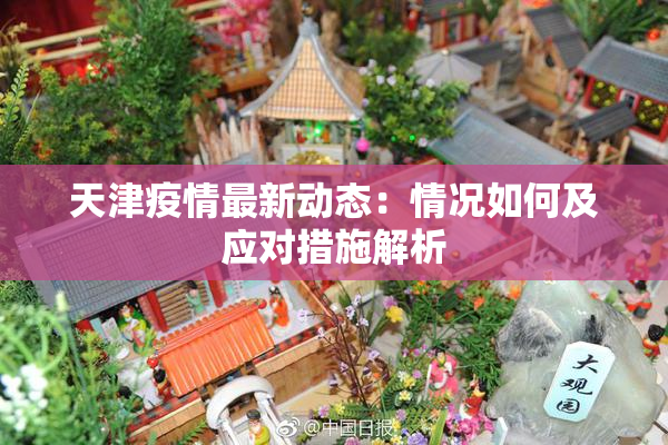 天津疫情最新动态：情况如何及应对措施解析