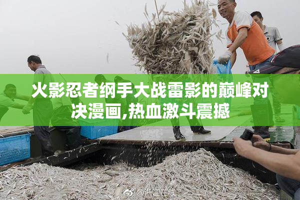 火影忍者纲手大战雷影的巅峰对决漫画,热血激斗震撼