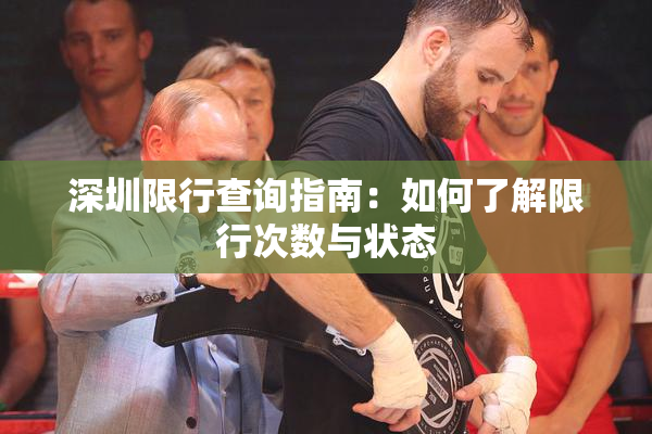 深圳限行查询指南：如何了解限行次数与状态