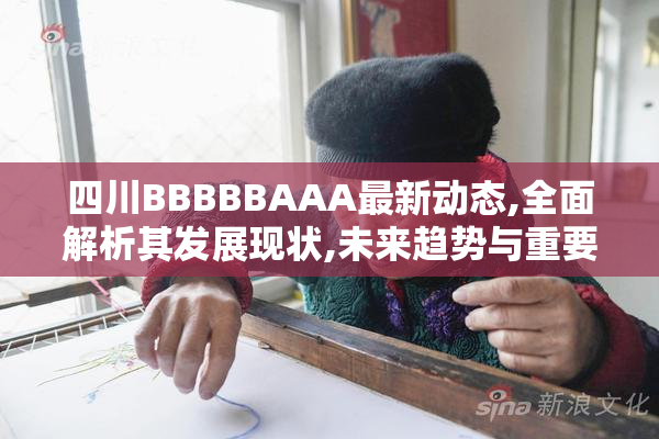 四川BBBBBAAA最新动态,全面解析其发展现状,未来趋势与重要影响