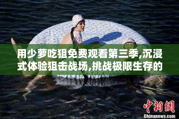 用少萝吃狙免费观看第三季,沉浸式体验狙击战场,挑战极限生存的