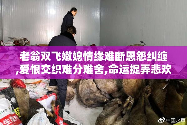 老翁双飞嫩媳情缘难断恩怨纠缠,爱恨交织难分难舍,命运捉弄悲欢离合