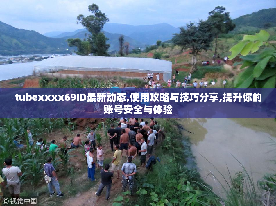 tubexxxx69ID最新动态,使用攻略与技巧分享,提升你的账号安全与体验