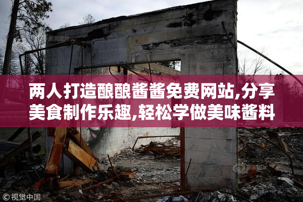 两人打造酿酿酱酱免费网站,分享美食制作乐趣,轻松学做美味酱料