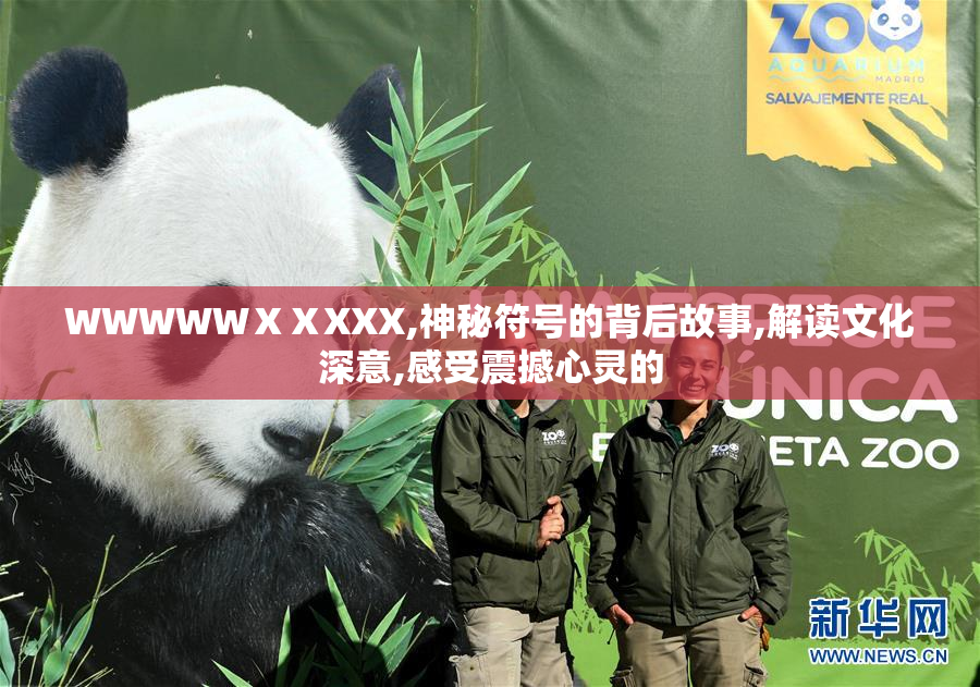 WWWWWⅩⅩXXX,神秘符号的背后故事,解读文化深意,感受震撼心灵的