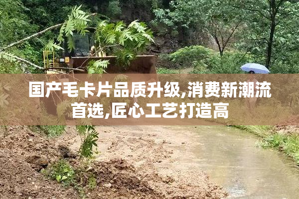 国产毛卡片品质升级,消费新潮流首选,匠心工艺打造高