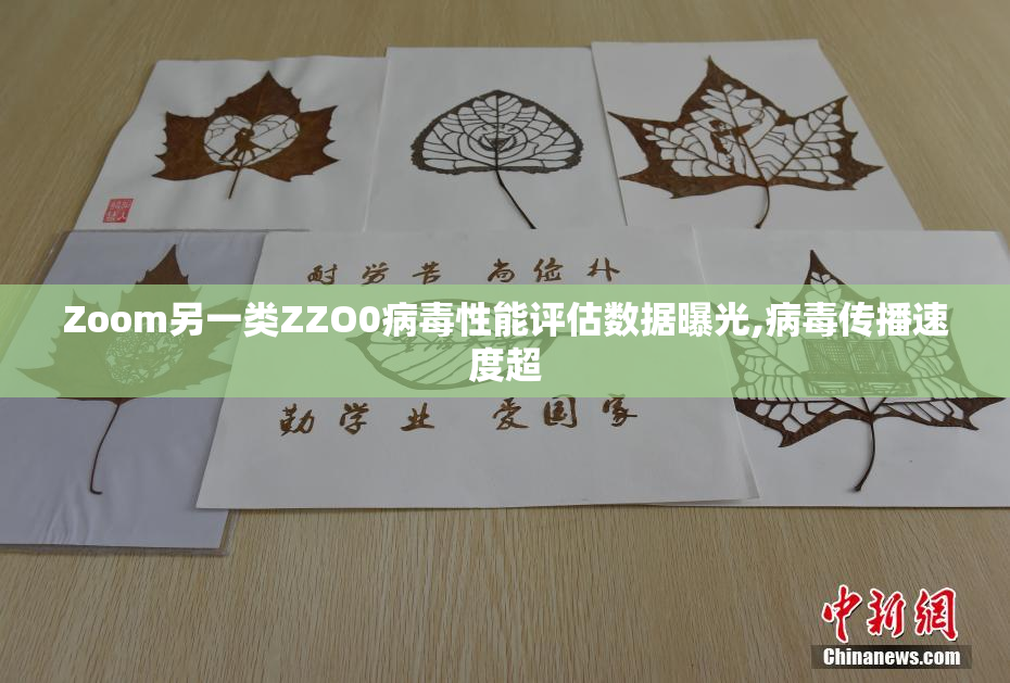 Zoom另一类ZZO0病毒性能评估数据曝光,病毒传播速度超