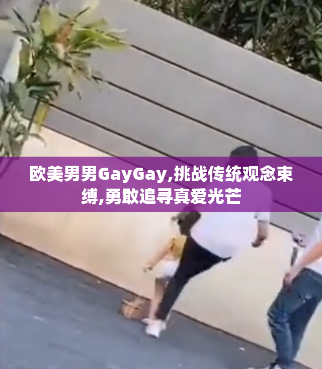 欧美男男GayGay,挑战传统观念束缚,勇敢追寻真爱光芒