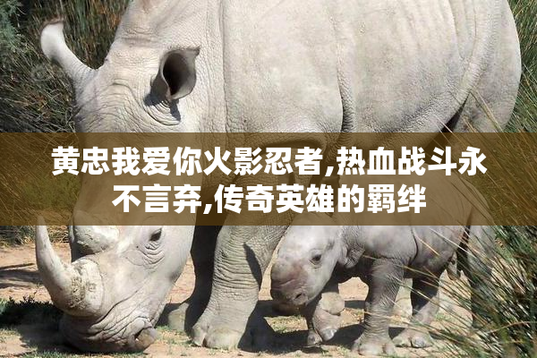 黄忠我爱你火影忍者,热血战斗永不言弃,传奇英雄的羁绊