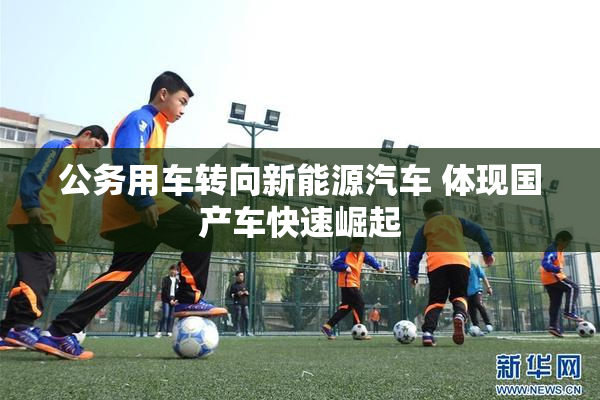 公务用车转向新能源汽车 体现国产车快速崛起