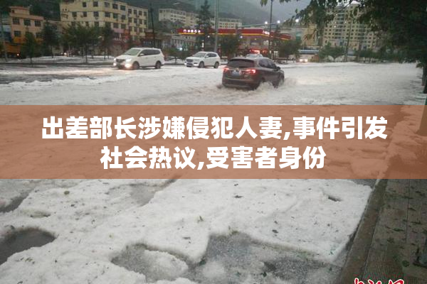 出差部长涉嫌侵犯人妻,事件引发社会热议,受害者身份