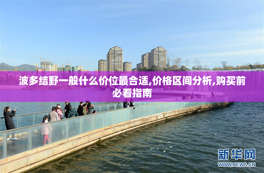 波多结野一般什么价位最合适,价格区间分析,购买前必看指南