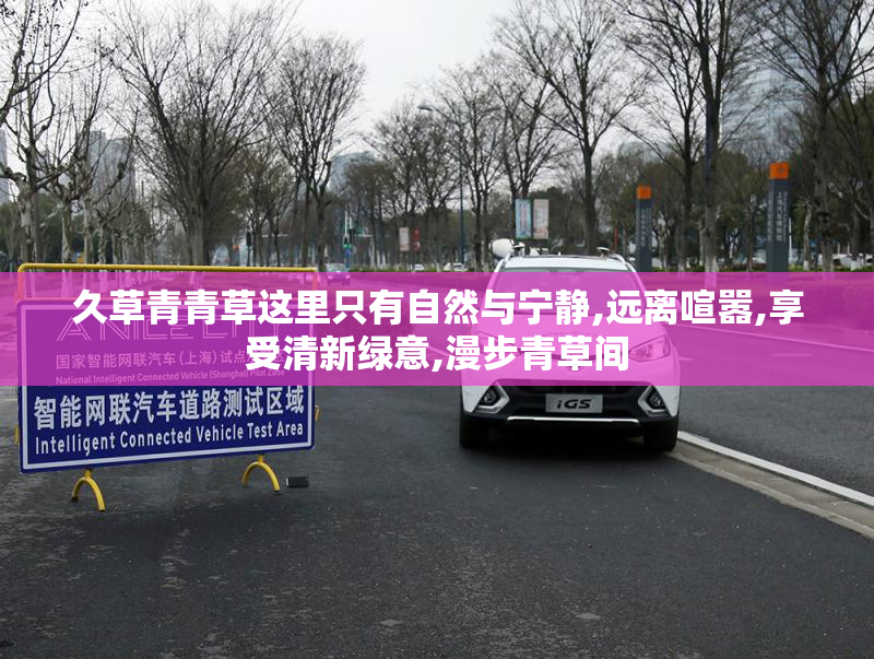 久草青青草这里只有自然与宁静,远离喧嚣,享受清新绿意,漫步青草间