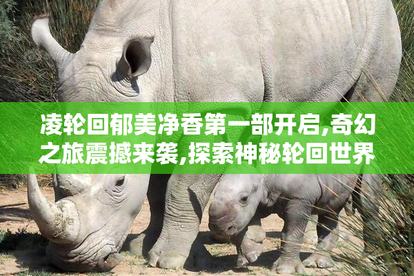 凌轮回郁美净香第一部开启,奇幻之旅震撼来袭,探索神秘轮回世界