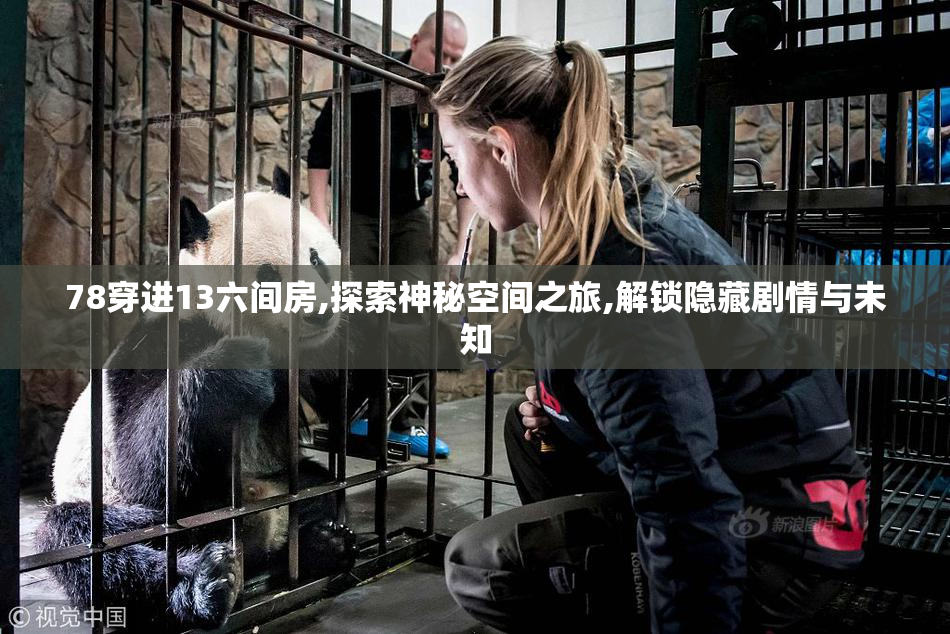 78穿进13六间房,探索神秘空间之旅,解锁隐藏剧情与未知