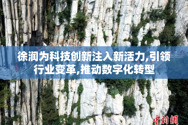 徐润为科技创新注入新活力,引领行业变革,推动数字化转型