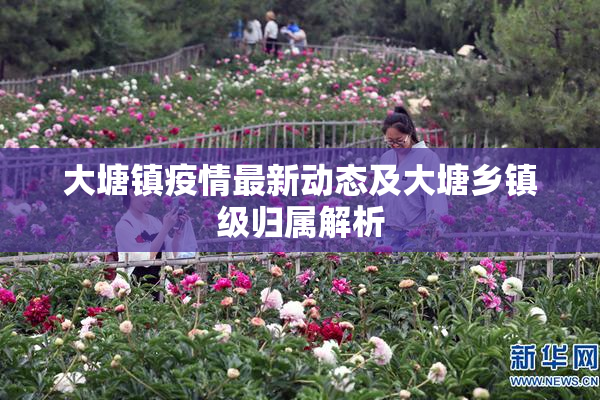 大塘镇疫情最新动态及大塘乡镇级归属解析