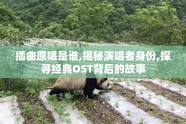 插曲原唱是谁,揭秘演唱者身份,探寻经典OST背后的故事