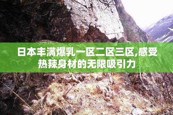 日本丰满爆乳一区二区三区,感受热辣身材的无限吸引力