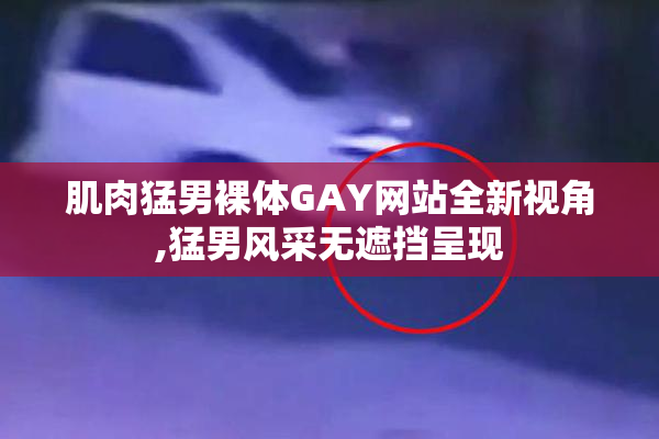 肌肉猛男裸体GAY网站全新视角,猛男风采无遮挡呈现