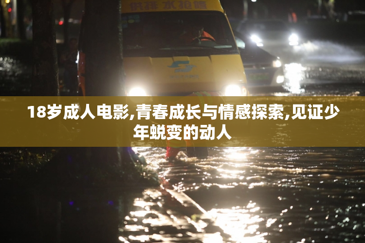 18岁成人电影,青春成长与情感探索,见证少年蜕变的动人