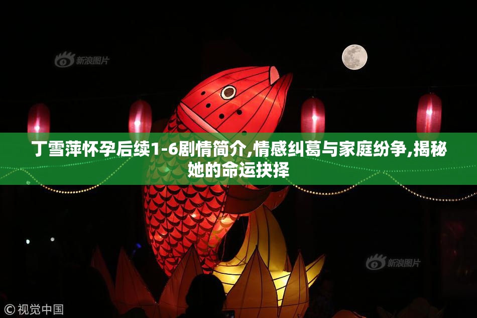 丁雪萍怀孕后续1-6剧情简介,情感纠葛与家庭纷争,揭秘她的命运抉择