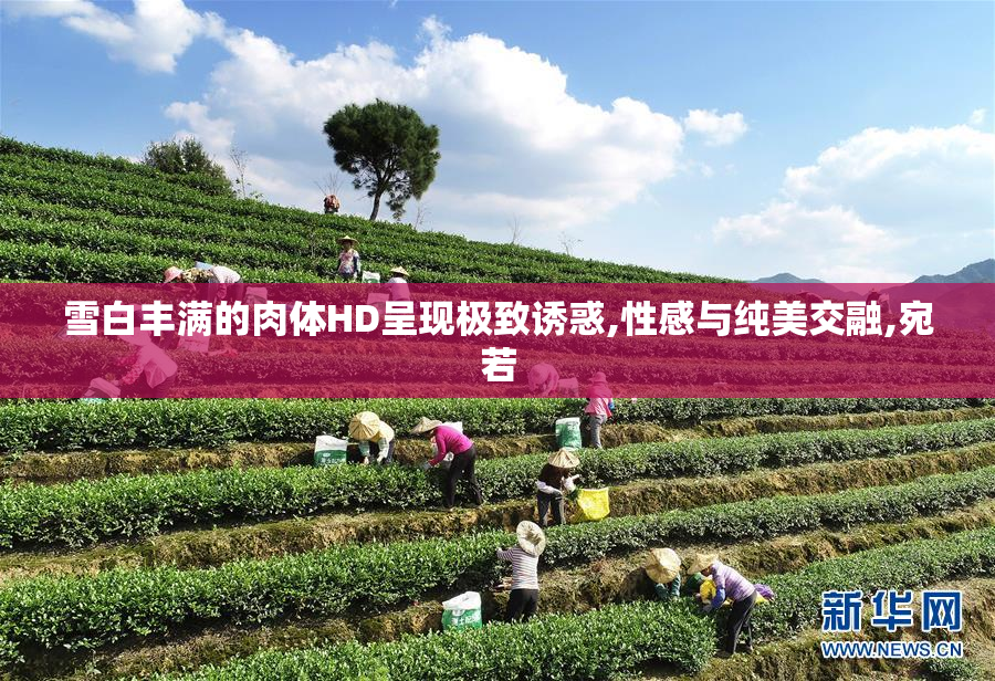 雪白丰满的肉体HD呈现极致诱惑,性感与纯美交融,宛若