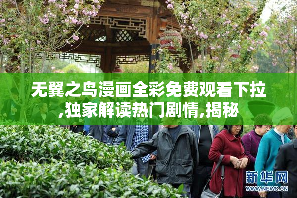 无翼之鸟漫画全彩免费观看下拉,独家解读热门剧情,揭秘