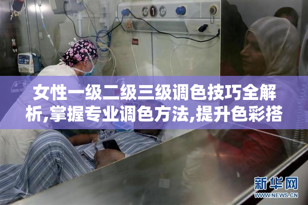 女性一级二级三级调色技巧全解析,掌握专业调色方法,提升色彩搭配