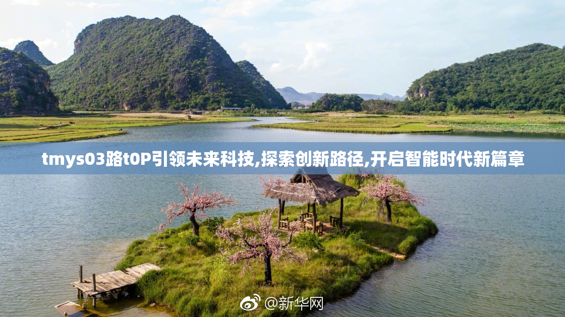 tmys03路t0P引领未来科技,探索创新路径,开启智能时代新篇章