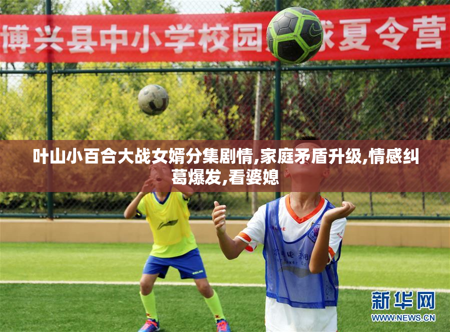 叶山小百合大战女婿分集剧情,家庭矛盾升级,情感纠葛爆发,看婆媳